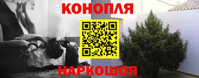 стаф Кимры