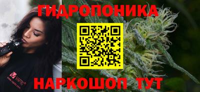 стаф Кимры