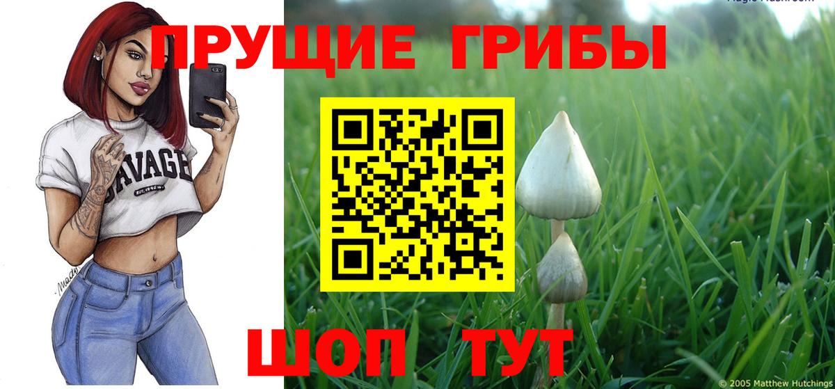 Галлюциногенные грибы MAGIC MUSHROOMS  Вход с VPN  Верхняя Салда 